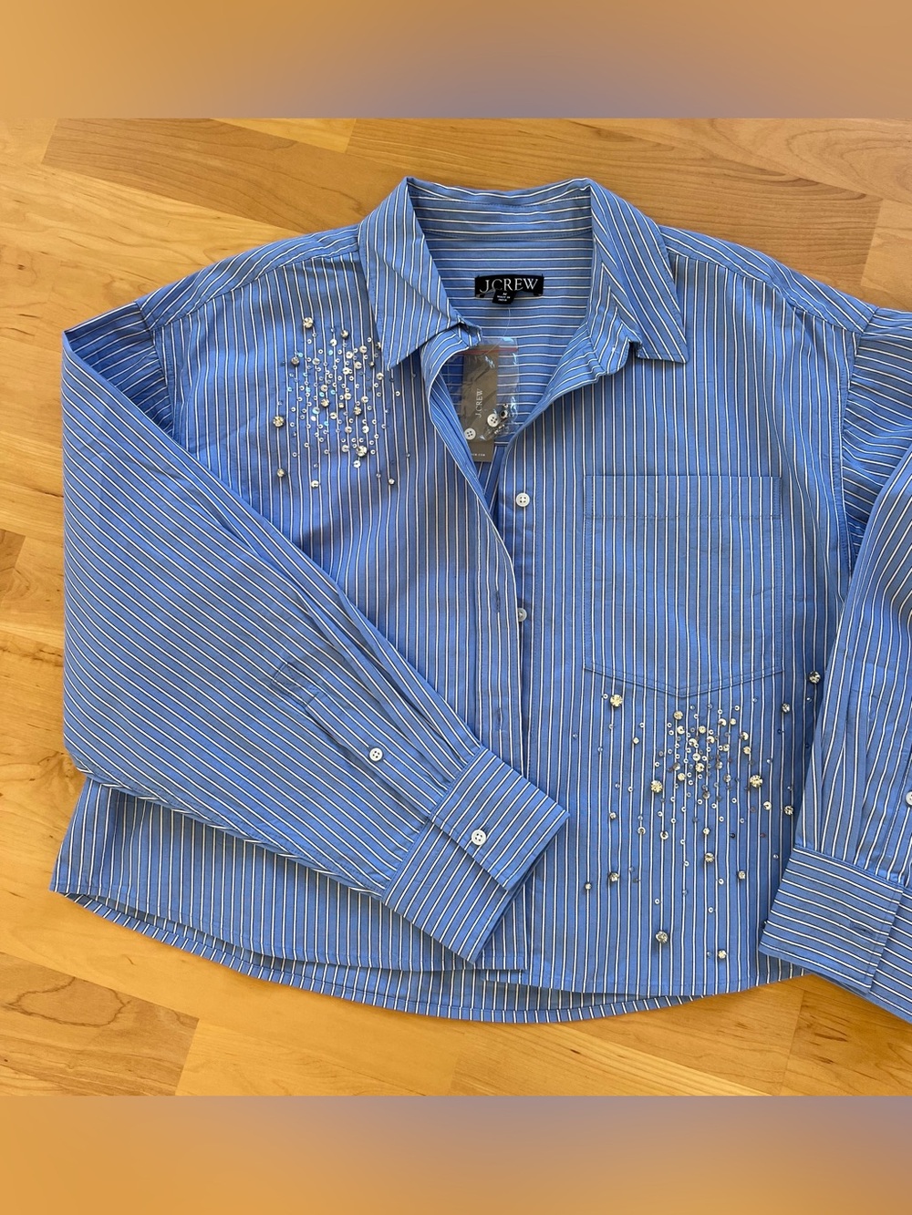 J. Crew Blue and White Pinstripe Embellished Button-Down Shirt